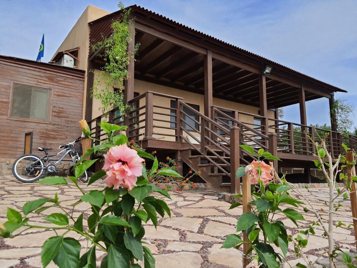 The Wind Farm Villa Dahab Bagian luar foto